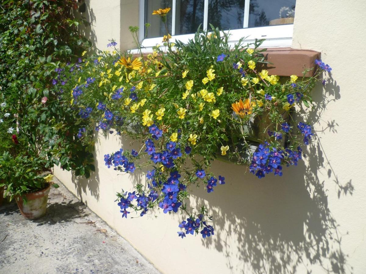 North Headborough Bed and Breakfast Haverfordwest Εξωτερικό φωτογραφία